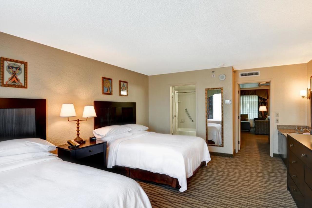 Embassy Suites San Antonio Airport מראה חיצוני תמונה